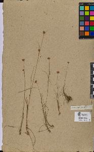 SW_BNB_s3090-08647_IMG-0000000001