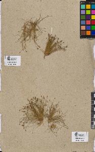 SW_BNB_s3090-08670_IMG-0000000001