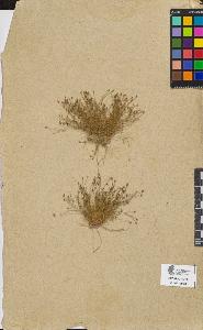 SW_BNB_s3090-08671_IMG-0000000001