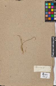 SW_BNB_s3090-08725_IMG-0000000001