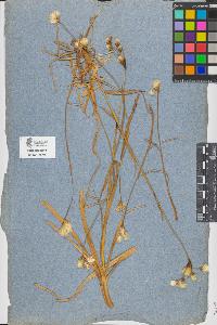 SW_BNB_s3090-08740_IMG-0000000001