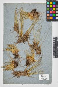SW_BNB_s3090-08779_IMG-0000000001