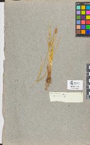 SW_BNB_s3090-08851_IMG-0000000001