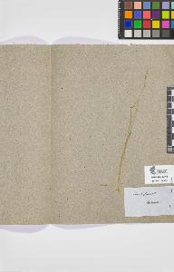 SW_BNB_s3090-08889_IMG-0000000001