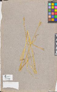 SW_BNB_s3090-08903_IMG-0000000001