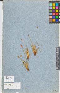 SW_BNB_s3090-08927_IMG-0000000001