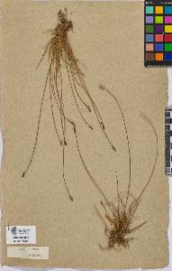 SW_BNB_s3090-08930_IMG-0000000001