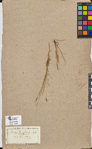 SW_BNB_s3090-08931_IMG-0000000001