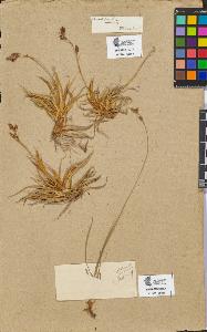 SW_BNB_s3090-09005_IMG-0000000001