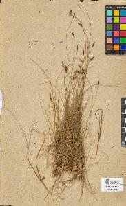 SW_BNB_s3090-09058_IMG-0000000001