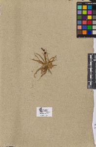 SW_BNB_s3090-09099_IMG-0000000001
