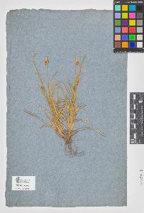 SW_BNB_s3090-09130_IMG-0000000001