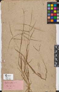 SW_BNB_s3090-09199_IMG-0000000001