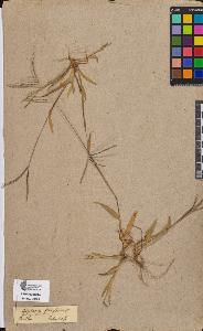 SW_BNB_s3090-09201_IMG-0000000001