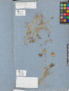 SW_BNB_s3090-09216_IMG-0000000001