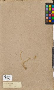 SW_BNB_s3090-09240_IMG-0000000001