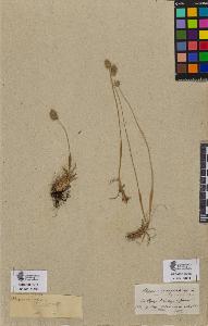 SW_BNB_s3090-09251_IMG-0000000001