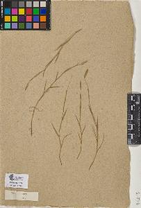 SW_BNB_s3090-09256_IMG-0000000001
