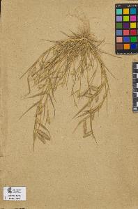 SW_BNB_s3090-09266_IMG-0000000001