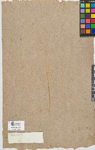 SW_BNB_s3090-09270_IMG-0000000001