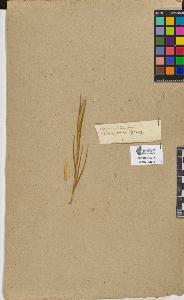 SW_BNB_s3090-09319_IMG-0000000001
