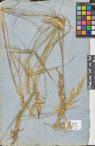 SW_BNB_s3090-09320_IMG-0000000001