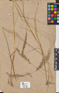 SW_BNB_s3090-09323_IMG-0000000001