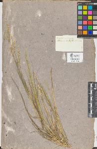 SW_BNB_s3090-09443_IMG-0000000001