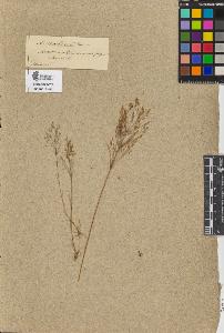 SW_BNB_s3090-09533_IMG-0000000001