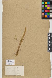 SW_BNB_s3090-09577_IMG-0000000001
