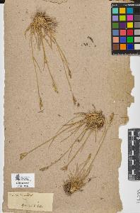 SW_BNB_s3090-09630_IMG-0000000001