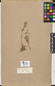 SW_BNB_s3090-09758_IMG-0000000001
