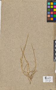 SW_BNB_s3090-09808_IMG-0000000001