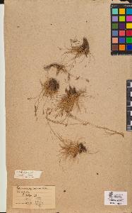 SW_BNB_s3090-09966_IMG-0000000001