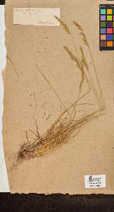 SW_BNB_s3090-10006_IMG-0000000001