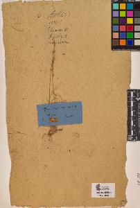SW_BNB_s3090-10024_IMG-0000000001