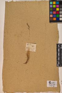 SW_BNB_s3090-10025_IMG-0000000001