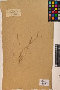 SW_BNB_s3090-10030_IMG-0000000001
