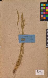 SW_BNB_s3090-10038_IMG-0000000001