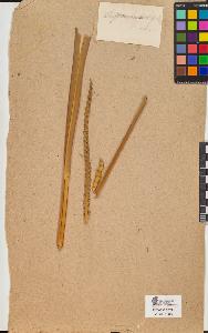 SW_BNB_s3090-10040_IMG-0000000001