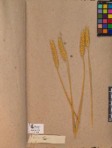 SW_BNB_s3090-10052_IMG-0000000001