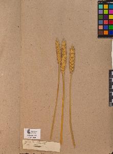 SW_BNB_s3090-10053_IMG-0000000001