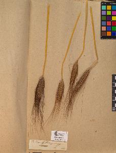 SW_BNB_s3090-10057_IMG-0000000001