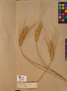 SW_BNB_s3090-10061_IMG-0000000001
