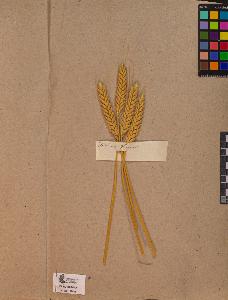 SW_BNB_s3090-10062_IMG-0000000001