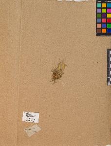 SW_BNB_s3090-10075_IMG-0000000001