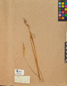 SW_BNB_s3090-10077_IMG-0000000001