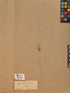 SW_BNB_s3090-10078_IMG-0000000001