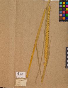 SW_BNB_s3090-10080_IMG-0000000001