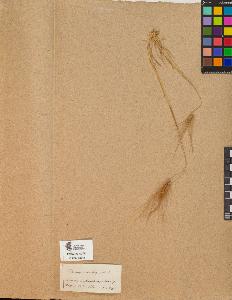 SW_BNB_s3090-10083_IMG-0000000001